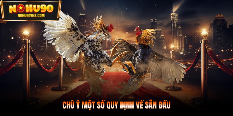 Chú ý một số quy định về sân đấu