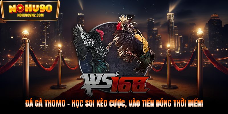 đá gà thomo