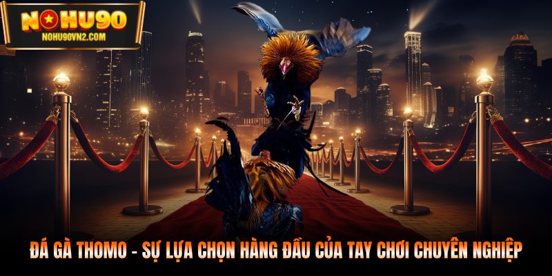 Đá gà Thomo - Sự lựa chọn hàng đầu của tay chơi chuyên nghiệp