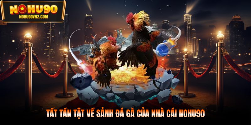 Tất tần tật về sảnh đá gà của nhà cái NOHU90